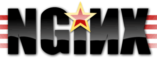 Nginx logo